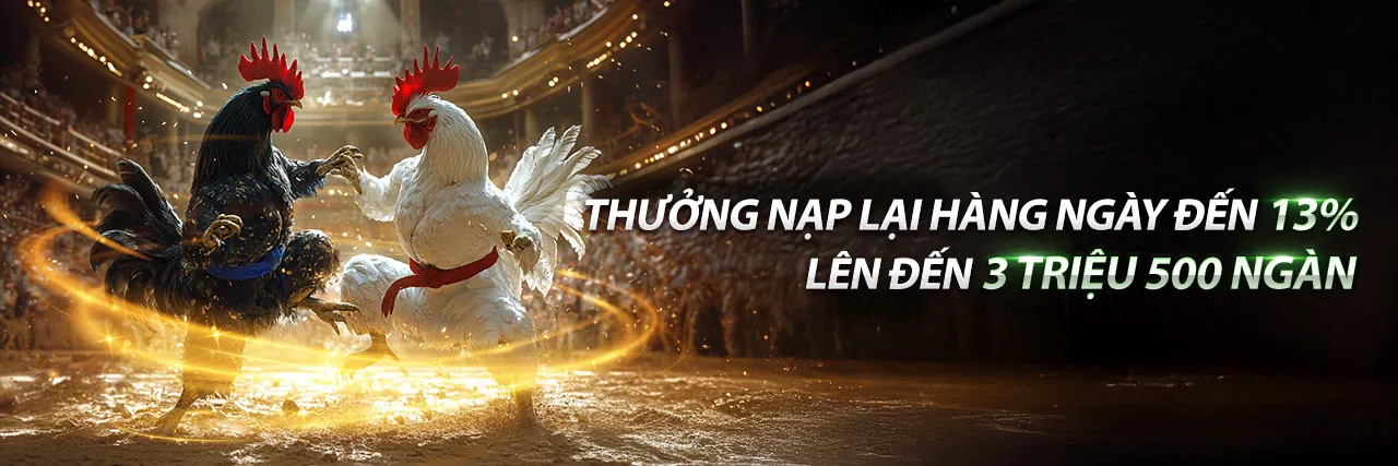 Đá gà trực tiếp F18678 iOS với các trận đấu sôi động và người chơi đặt cược